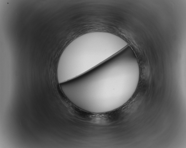 X0000098160273200804171224
