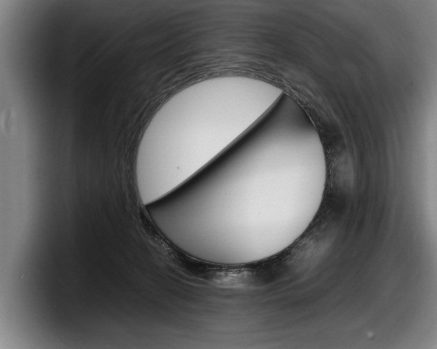 X0000098160274200804171224