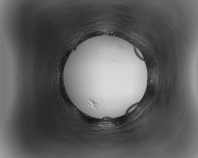 X0000098160279200804171224