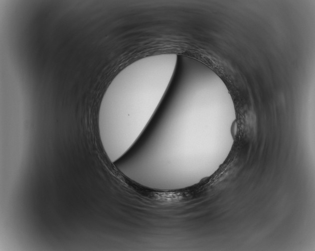 X0000098160281200804171224