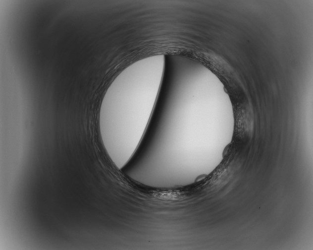 X0000098160282200804171224