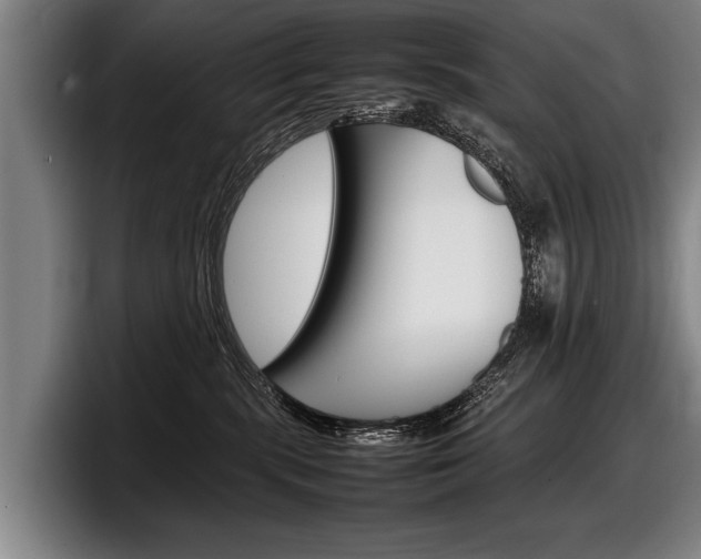 X0000098160283200804171224