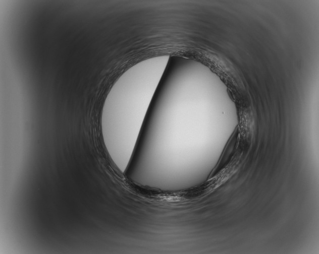 X0000098160284200804171224