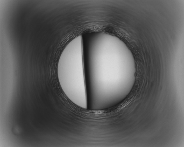 X0000098160288200804171224