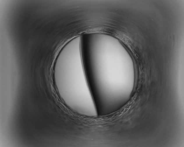 X0000098160289200804171224