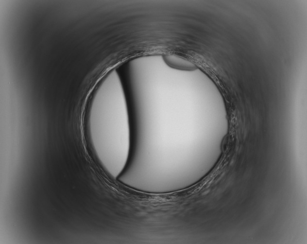 X0000098160290200804171224