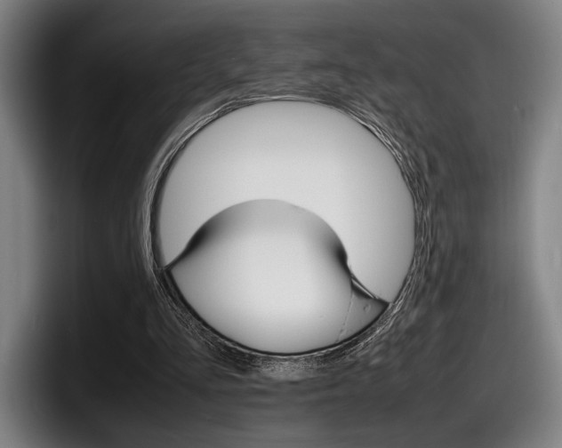 X0000098160293200804171224