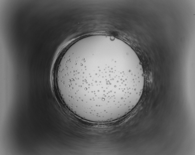 X0000098160294200804171224