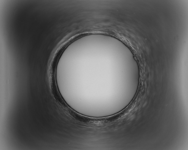 X0000098160295200804171224