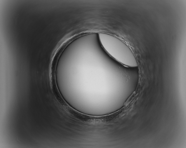 X0000098160296200804171223