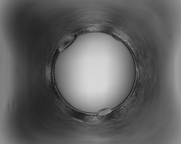 X0000098160297200804171223