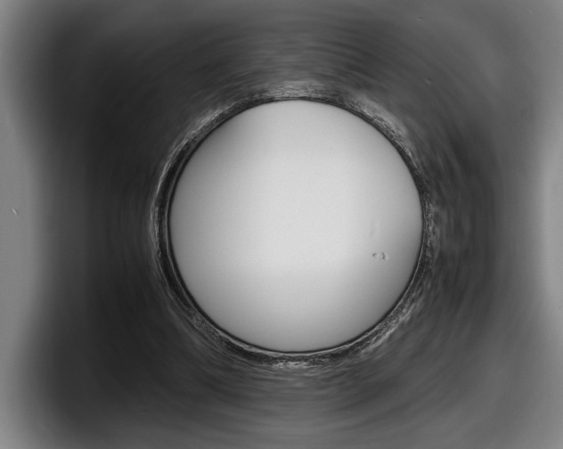 X0000098160298200804171223
