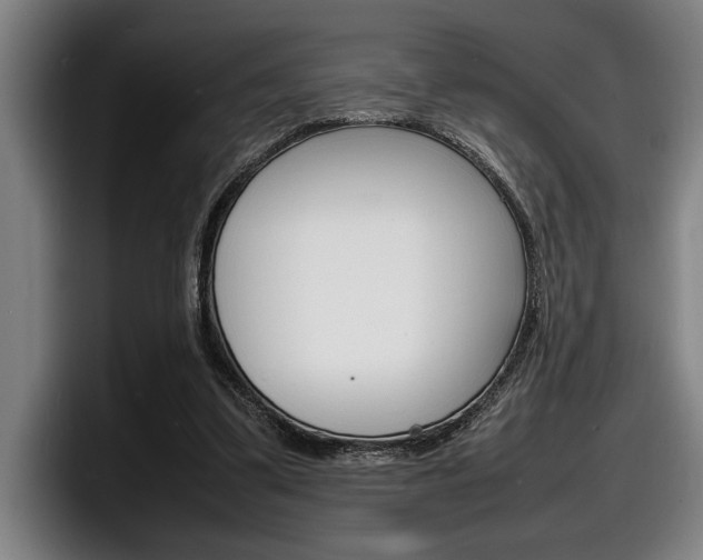 X0000098160299200804171223