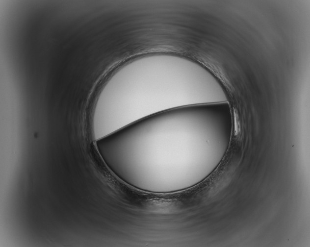 X0000098160300200804171223