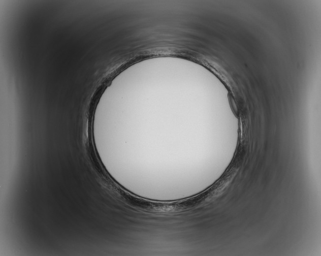 X0000098160301200804171223