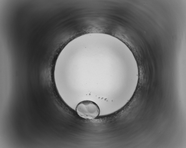X0000098160302200804171223