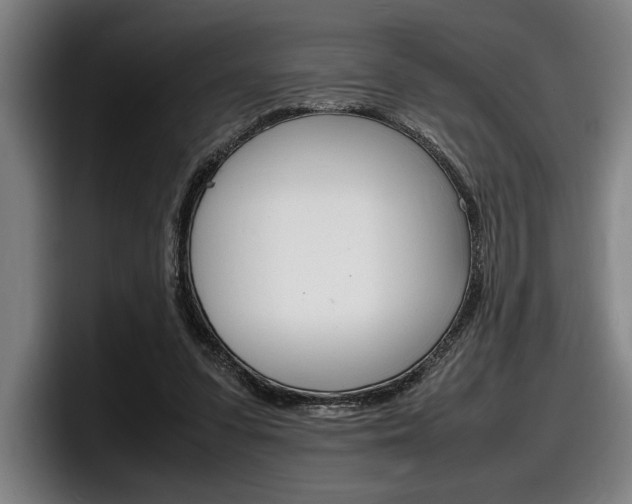 X0000098160303200804171223