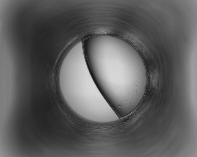 X0000098160304200804171223