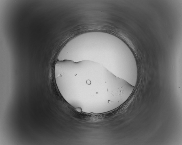 X0000098160305200804171223