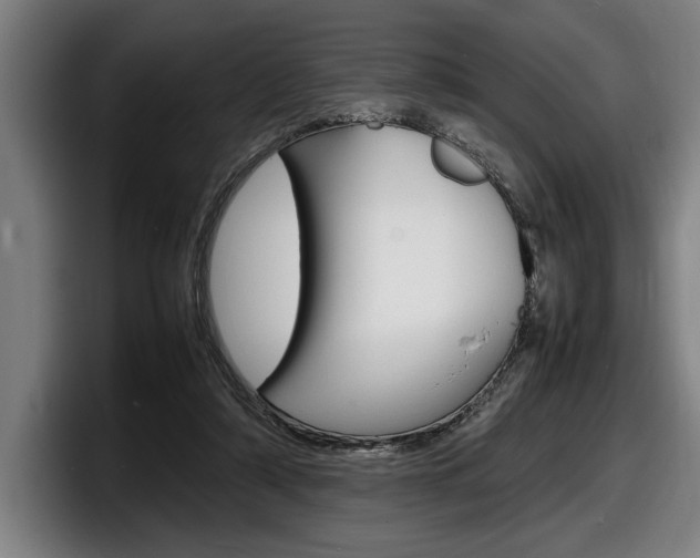 X0000098160306200804171223
