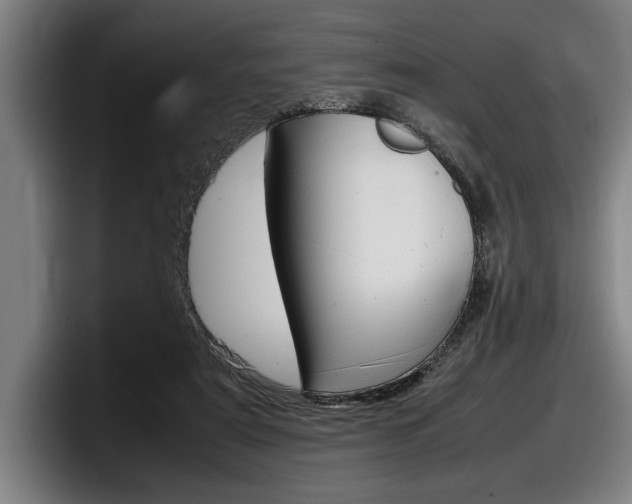 X0000098160307200804171223