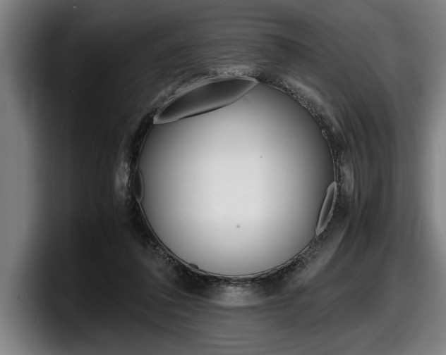 X0000098160308200804171223