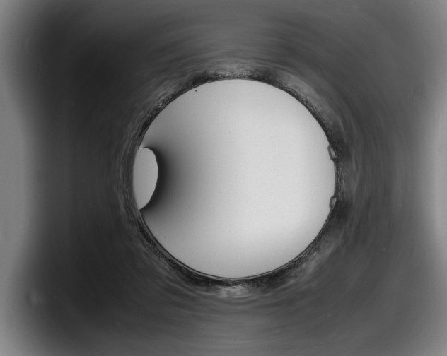 X0000098160309200804171223