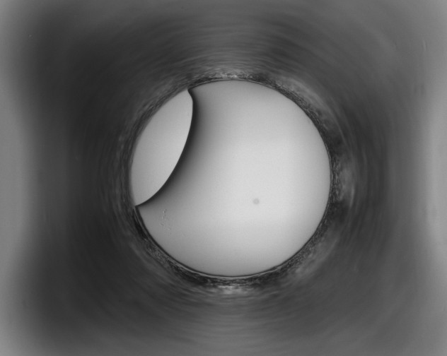 X0000098160310200804171223
