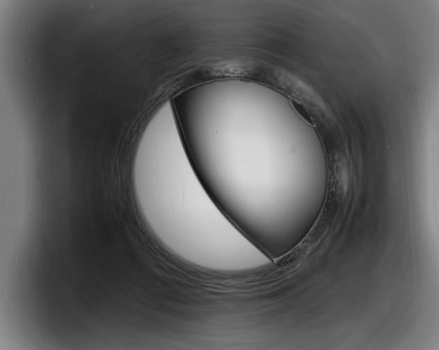 X0000098160312200804171223