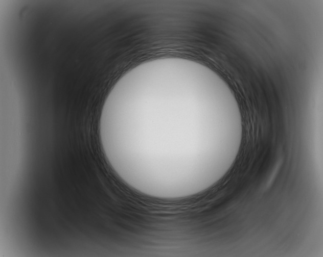 X0000098160316200804171223
