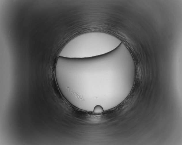 X0000098160318200804171223