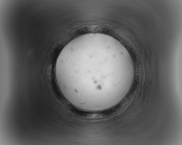 X0000098160319200804171223