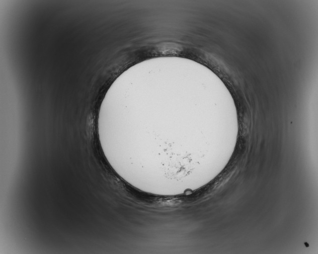 X0000098160321200804171223