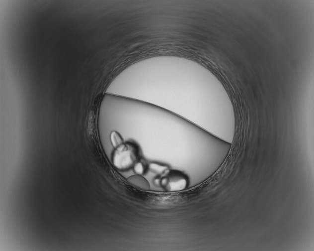 X0000098160323200804171223