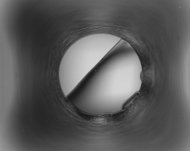 X0000098160325200804171223
