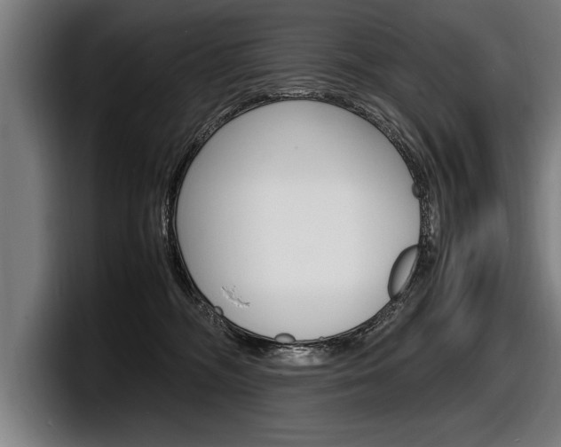 X0000098160326200804171223