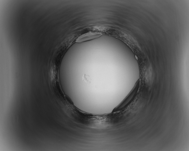 X0000098160328200804171223