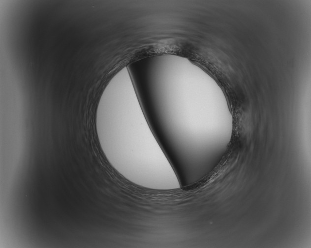 X0000098160329200804171223