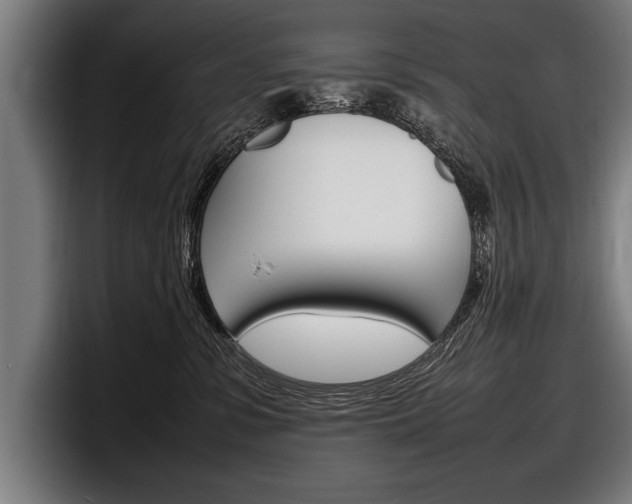 X0000098160331200804171223