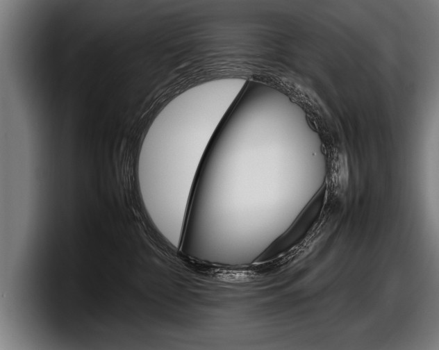 X0000098160332200804171223