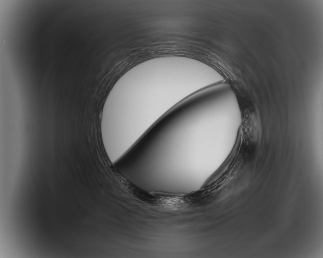 X0000098160333200804171223