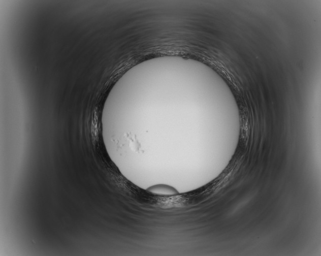 X0000098160334200804171223