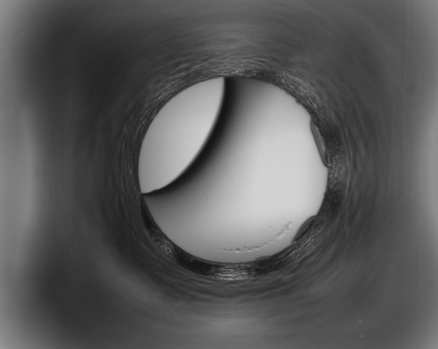 X0000098160335200804171223