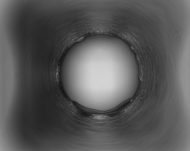 X0000098160336200804171223