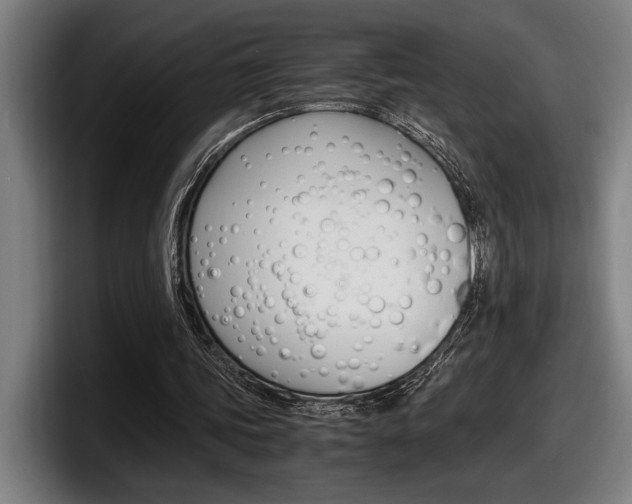 X0000098160339200804171222