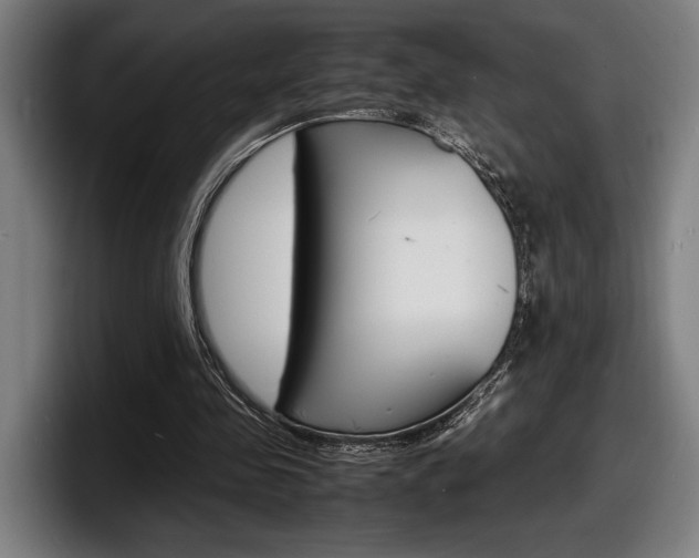 X0000098160341200804171222