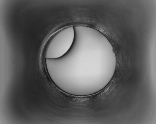 X0000098160343200804171222
