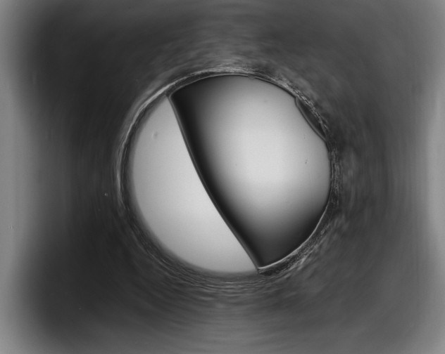 X0000098160344200804171222