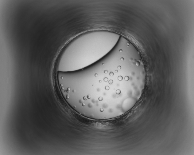X0000098160346200804171222