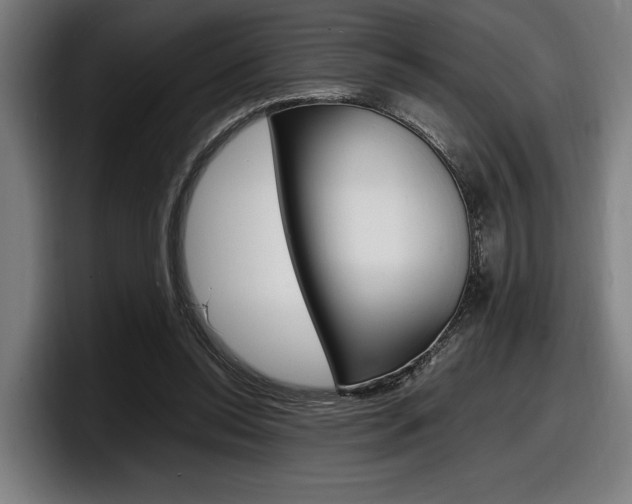 X0000098160350200804171222